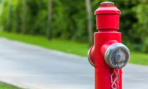 Czerwony hydrant przeciwpożarowy z metalowymi elementami na tle zieleni i drogi.