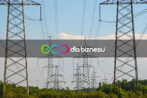 Wysokie słupy energetyczne z liniami wysokiego napięcia na tle błękitnego nieba.