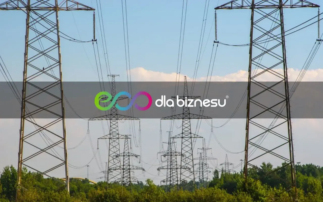 Wysokie słupy energetyczne z liniami wysokiego napięcia na tle błękitnego nieba.