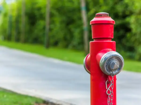 Czerwony hydrant przeciwpożarowy z metalowymi elementami na tle zieleni i drogi.
